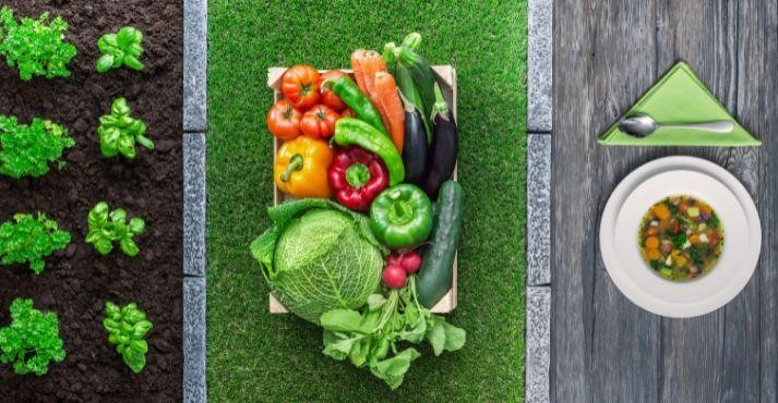 Pictorial-representation-of-farm-to-table-dining