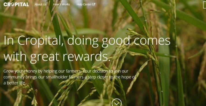 Cropital-homepage