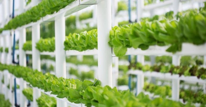 Vertical-farming