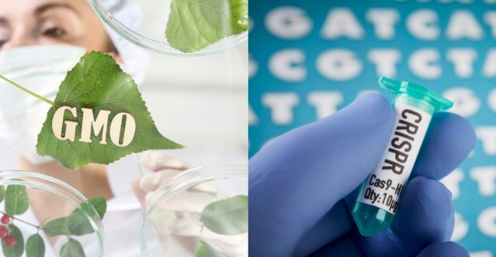 GMOs vs. CRISPR