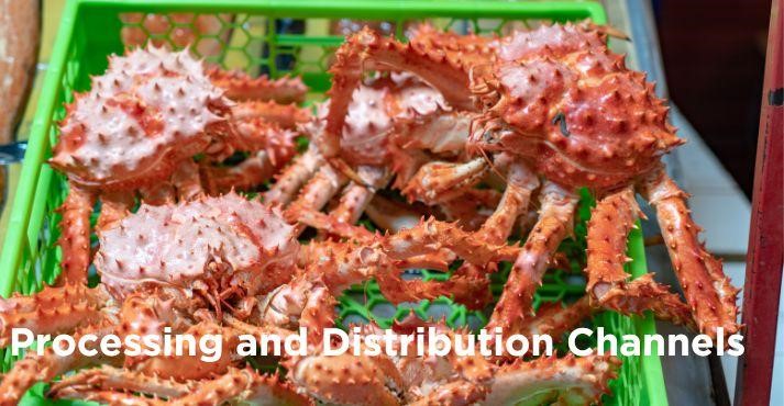 Processing and Distribution Channels