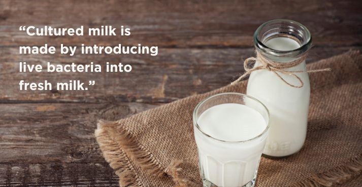 cultured milk in a glass