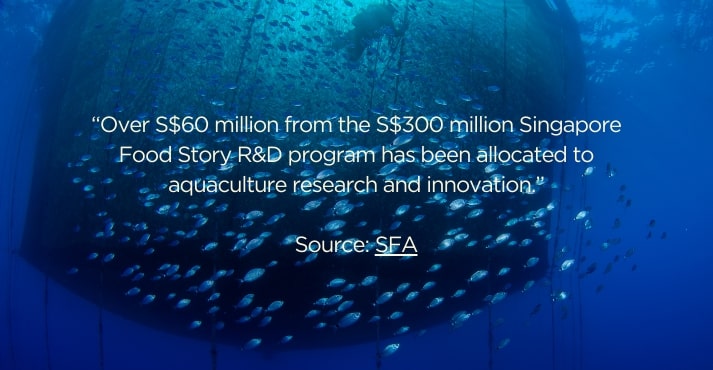 SFA's Role in Emerging Food Trends