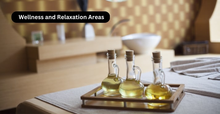 Wellness and Relaxation Areas