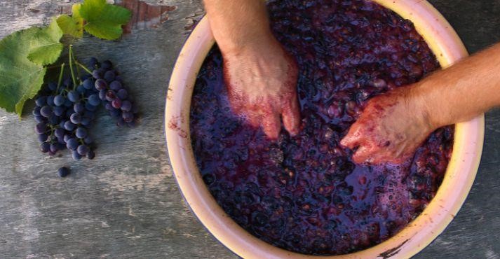 vegan wine making process