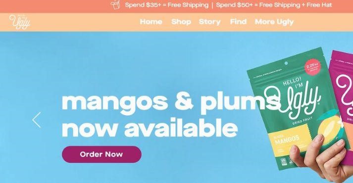 Homepage-of-the-ugly-co