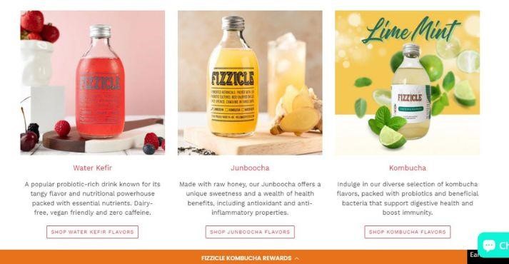 Tropical-Kombucha-by-Fizzicle -website