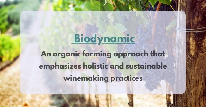 biodynamic wine biodynamic wine
