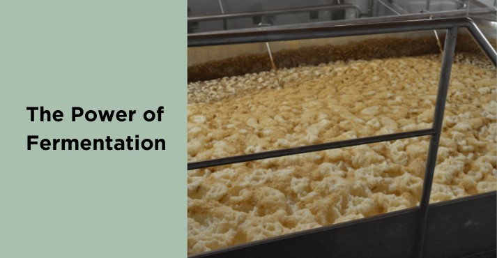 power-of-fermentation power-of-fermentation