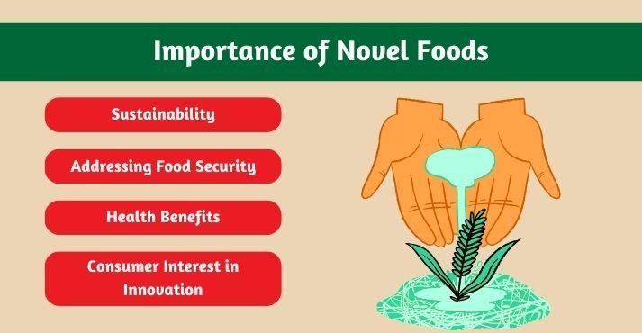 Why-are-novel-foods-important Why-are-novel-foods-important