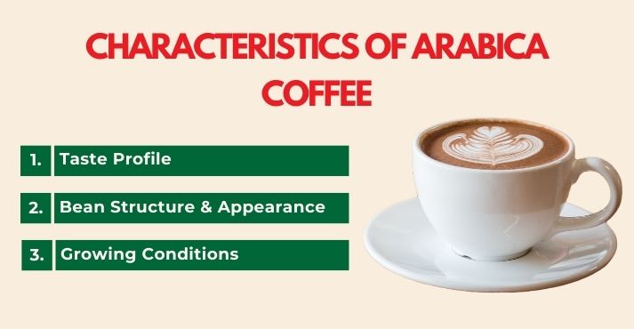 characteristics-of-arabica-coffee