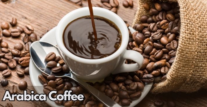 what-is-arabica-coffee