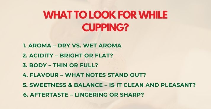 what-to-look-for-while-cupping