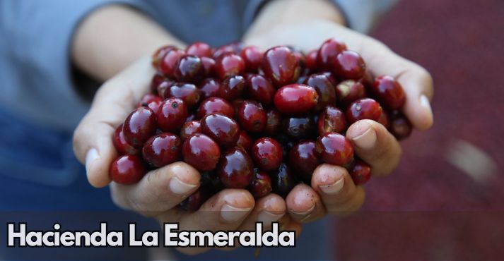 hacienda-la-esmeralda