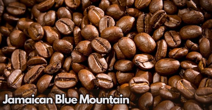 jamaican-blue-mountain