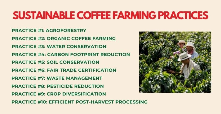 sustainable-coffee-farming-practices