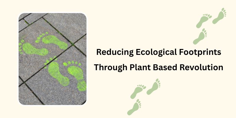 reducing-bcological-footprints