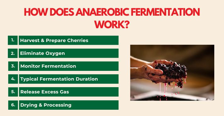 how-does-anaerobic-fermentation-work