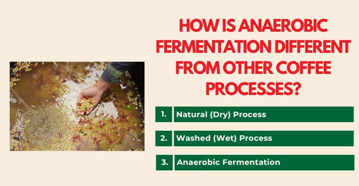how-is-anaerobic-fermentation-different-from-other-coffee-processes