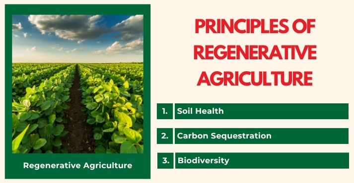principles-of-regerative-agriculture