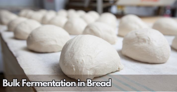 what-is-bulk-fermentation-in-bread-making
