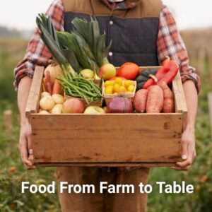 food-from-farm-to-table