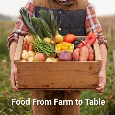 food-from-farm-to-table