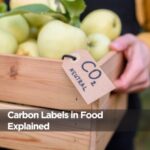 Carbon Labels in Food Explained