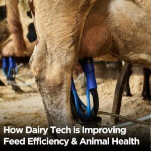 How Dairy Tech is Improving Feed Efficiency and Animal Health