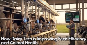 How Dairy Tech is Improving Feed Efficiency and Animal Health