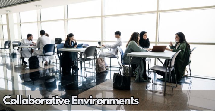 Collaborative Environments