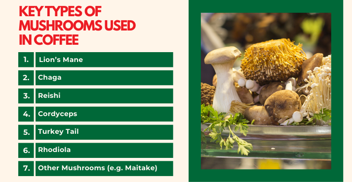 Types of Mushrooms Used and Their Benefits